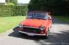 nancydenolm491_small.jpg